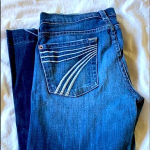 Dojo’s 7 for all mankind